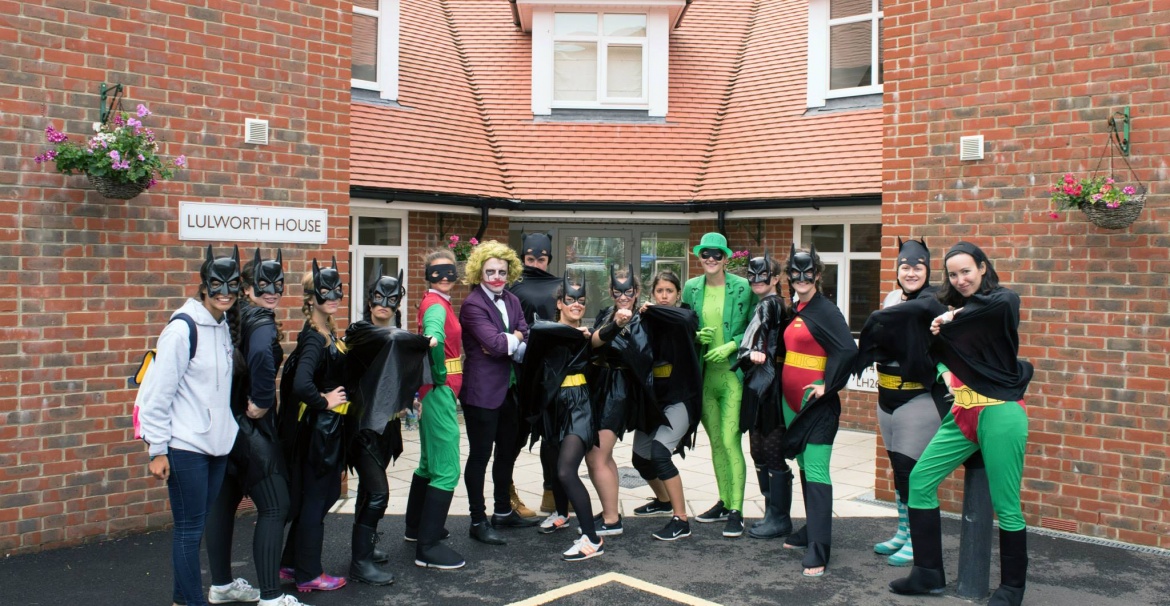 Harrow House Swanage Язык+отдых Великобритания (г. Cвонедж (3 часа от