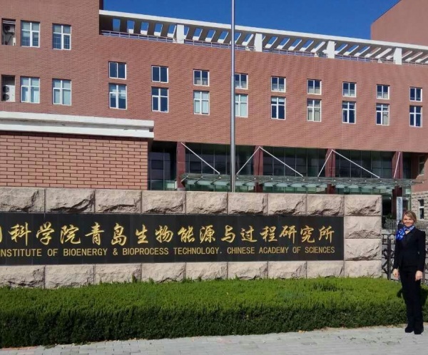 Qingdao Institute