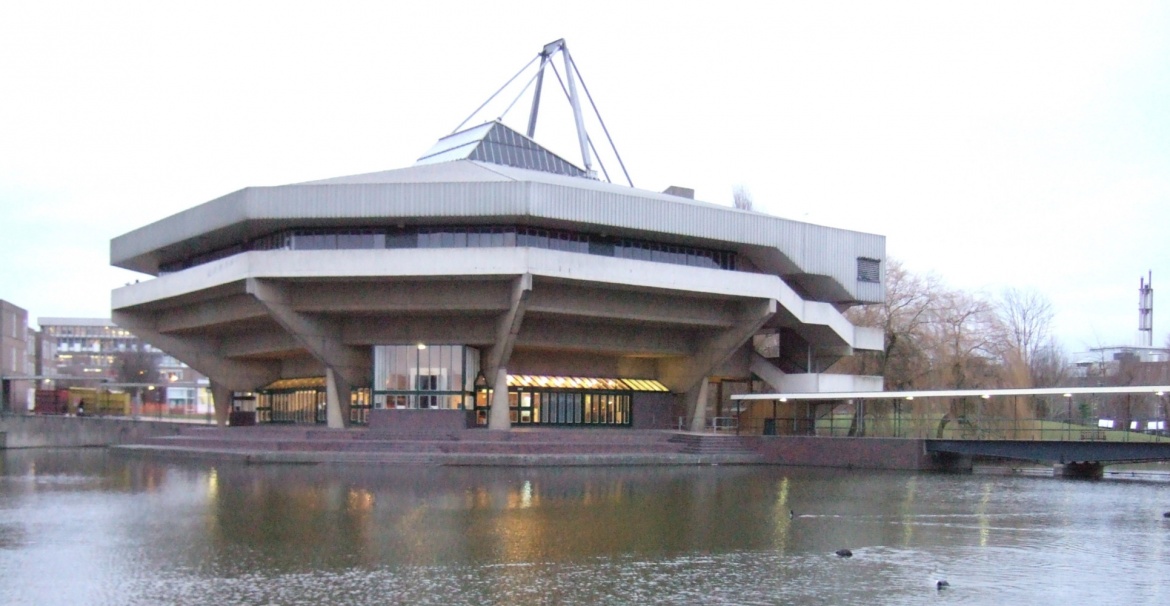 York University 