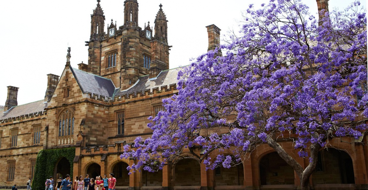 University of Sydney