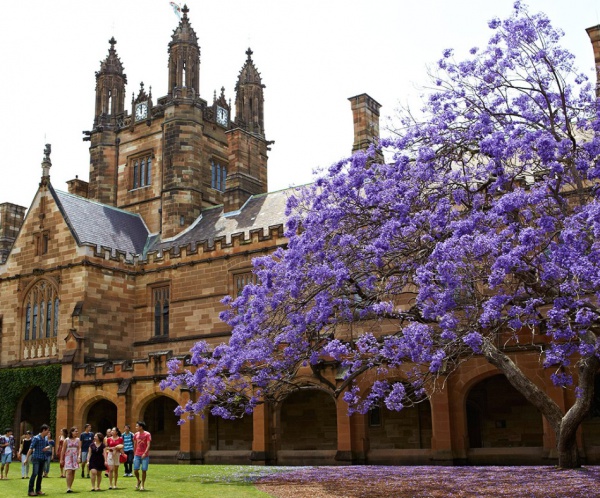 University of Sydney