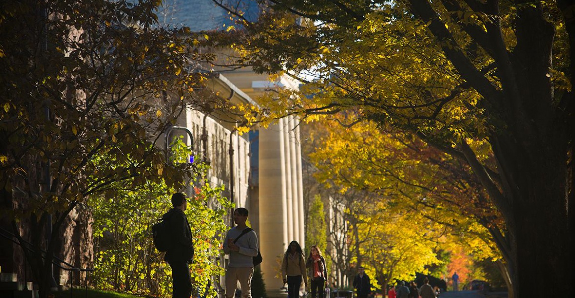 Университет Cornell University