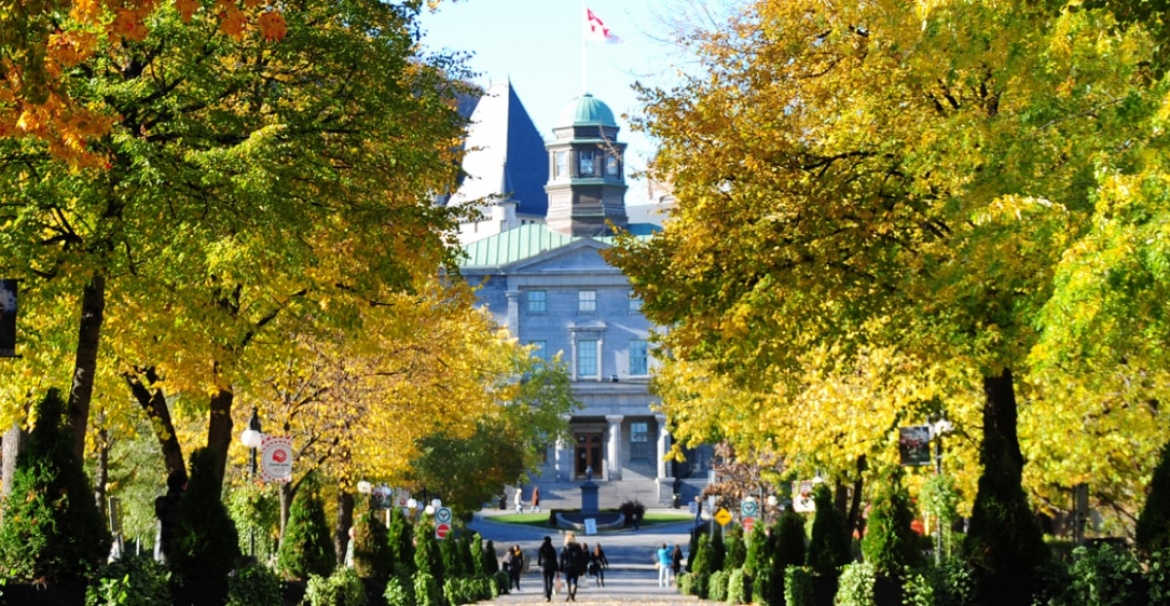 McGill University