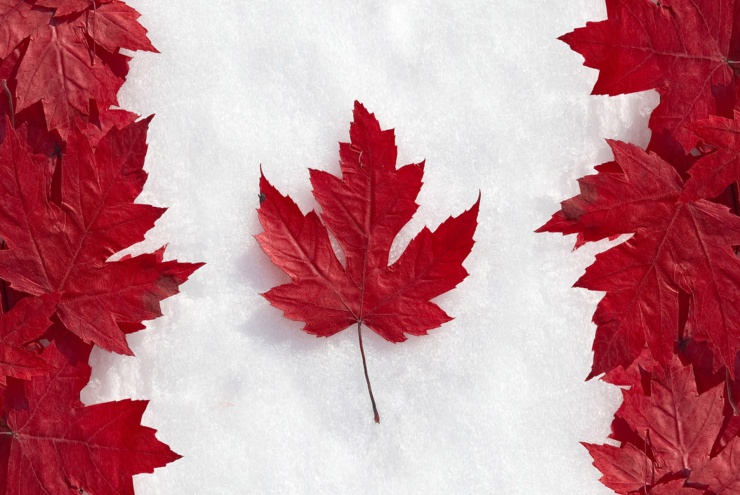 19 февраля узнайте все о возможностях высшего образования в Канаде