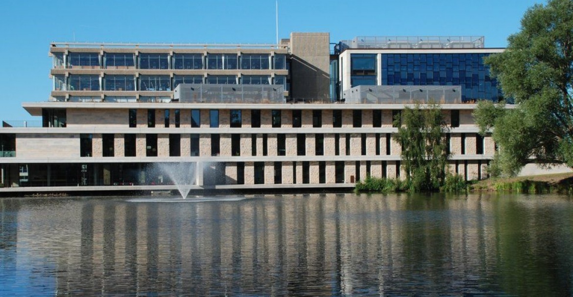 Направления в University of Essex